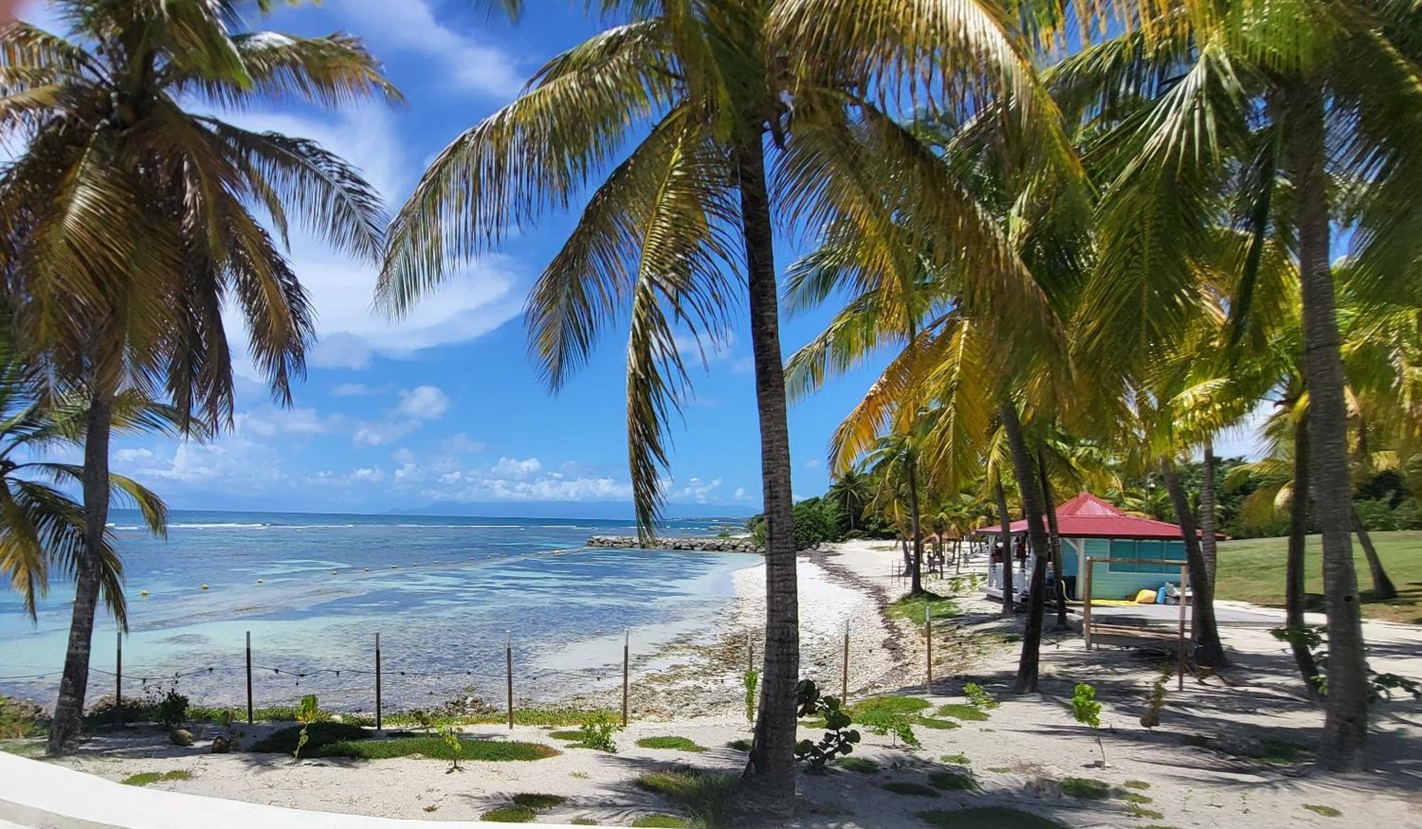 Studios Angoreva Vue Mer - Cote Plage Ou Jardin - Village Vacances - Sainte-Anne Guadeloupe Courcelles Εξωτερικό φωτογραφία