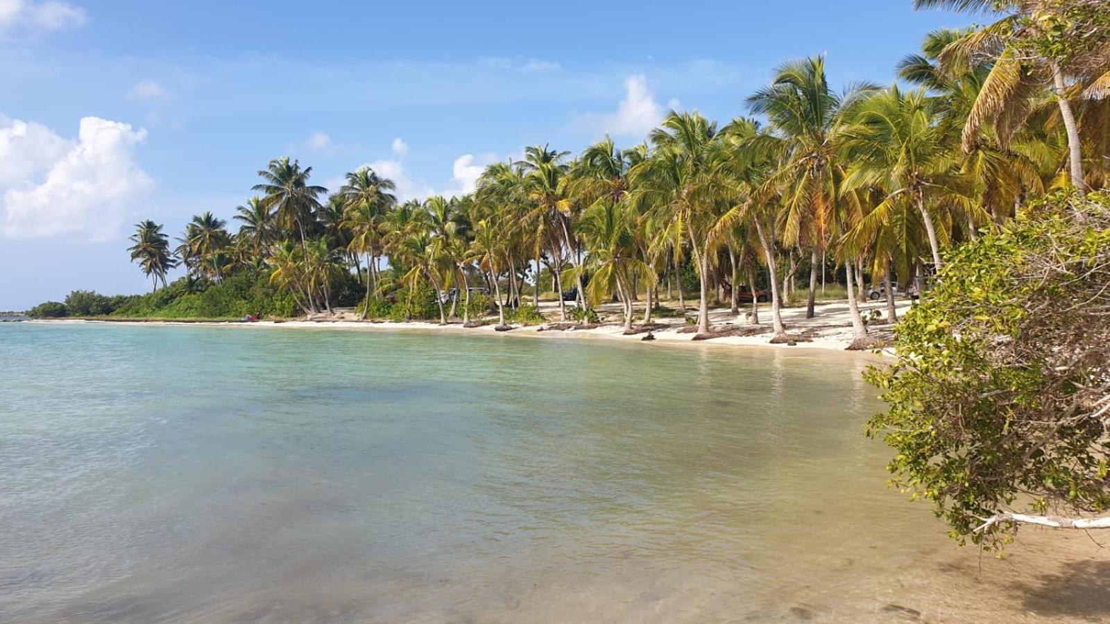 Studios Angoreva Vue Mer - Cote Plage Ou Jardin - Village Vacances - Sainte-Anne Guadeloupe Courcelles Εξωτερικό φωτογραφία