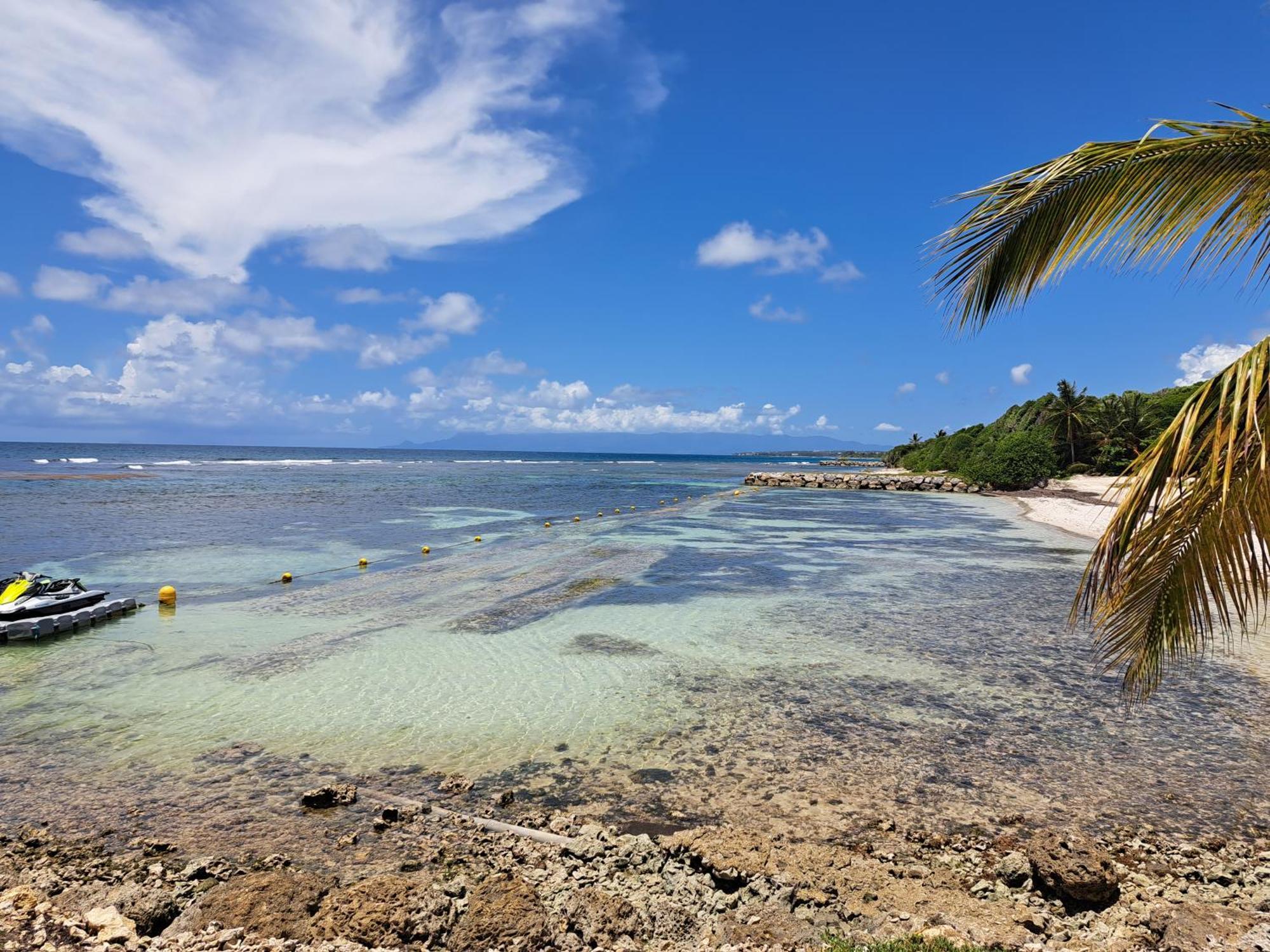 Studios Angoreva Vue Mer - Cote Plage Ou Jardin - Village Vacances - Sainte-Anne Guadeloupe Courcelles Εξωτερικό φωτογραφία