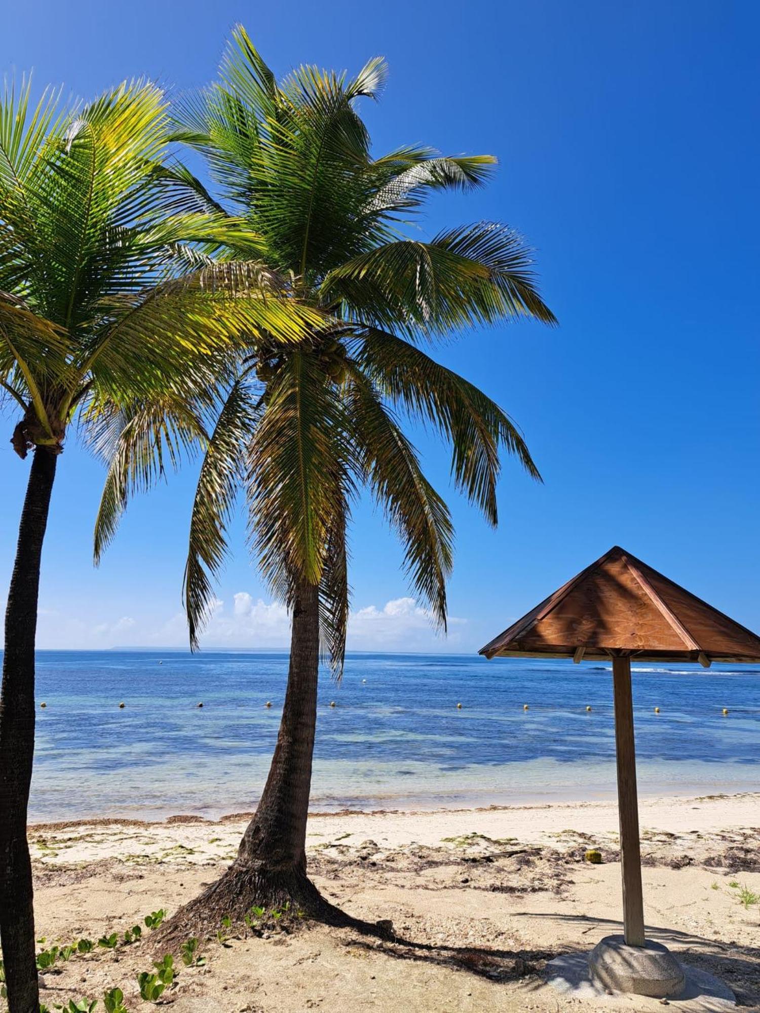 Studios Angoreva Vue Mer - Cote Plage Ou Jardin - Village Vacances - Sainte-Anne Guadeloupe Courcelles Εξωτερικό φωτογραφία